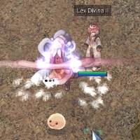 skill-divina.jpg skill-divina.jpg